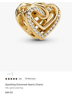 Pandora Heart Charms and Clip Couple
